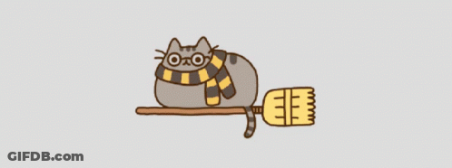 Cat Wearing Scarf And Glasses Laying On Broom GIF