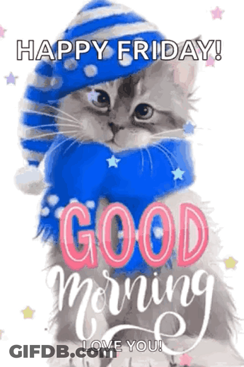 Cat Wearing Scarf And Hat Happy Friday GIF