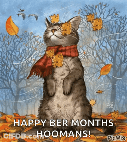 Cat Wearing Scarf And Leaves Happy Ber Months Hoomans GIF