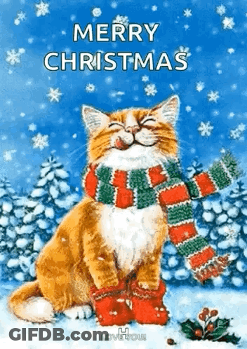 Cat Wearing Scarf And Socks In Snow GIF
