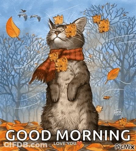 Cat Wearing Scarf Surrounded By Leaves GIF