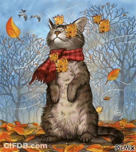 Cat Wearing Scarf With Leaves On Face GIF