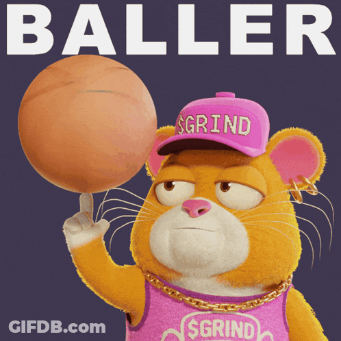 Cat Wearing Sgrind Hat Holding Ball GIF