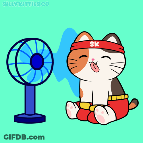 Cat Wearing SK Headband In Front Of Fan GIF