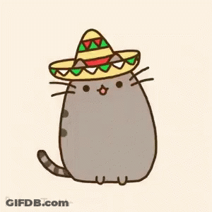 Cat Wearing Sombrero Hat GIF