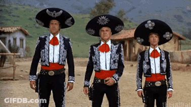 Cat Wearing Sombrero Hat GIF