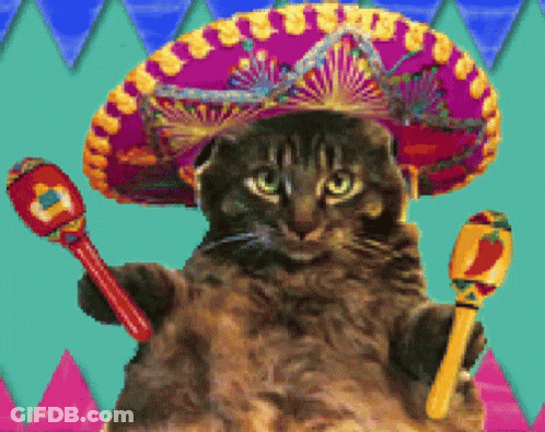 Cat Wearing Sombrero Holding Maraca GIF