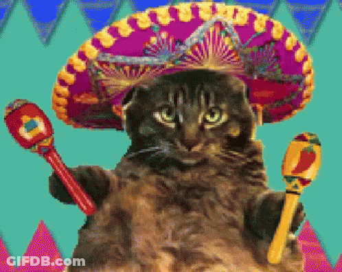 Cat Wearing Sombrero Holding Maracas GIF