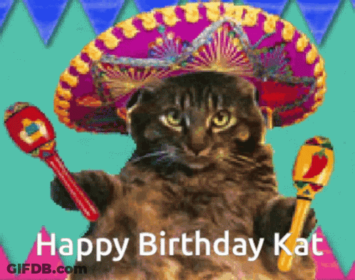 Cat Wearing Sombrero Holding Maracas Happy Birthday Kat GIF