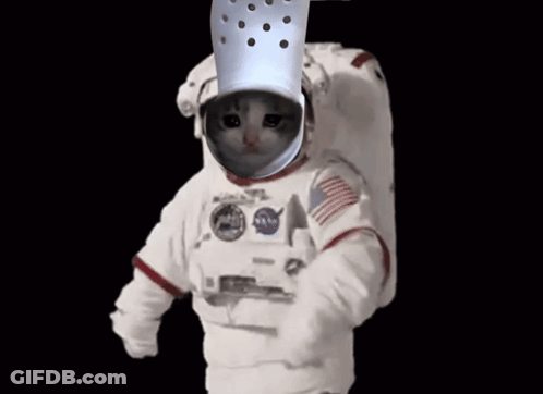 Cat Wearing Space Suit With Croc GIF