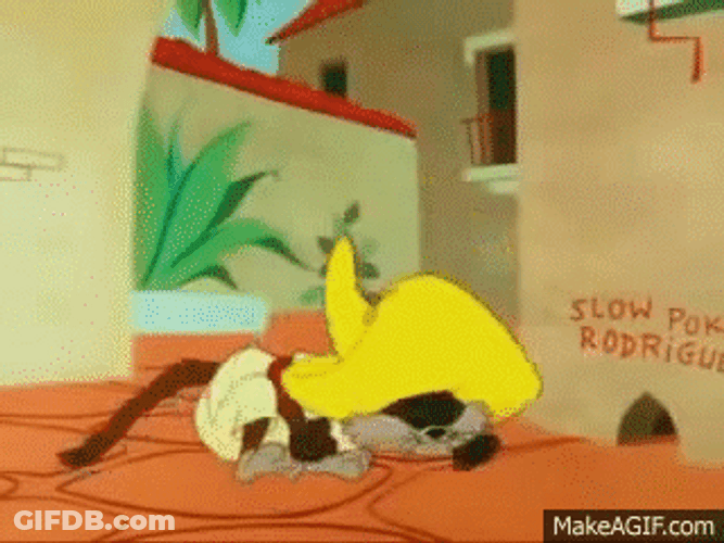 Cat Wearing Speedy Gonzales Clothes GIF