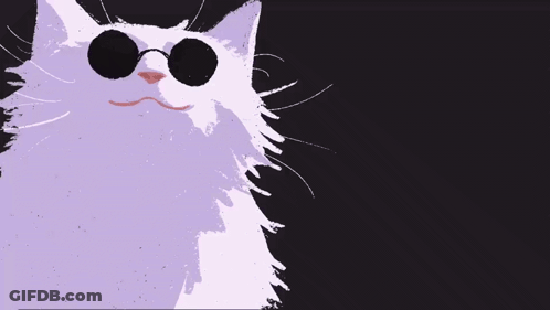 Cat Wearing Sunglasses GIF