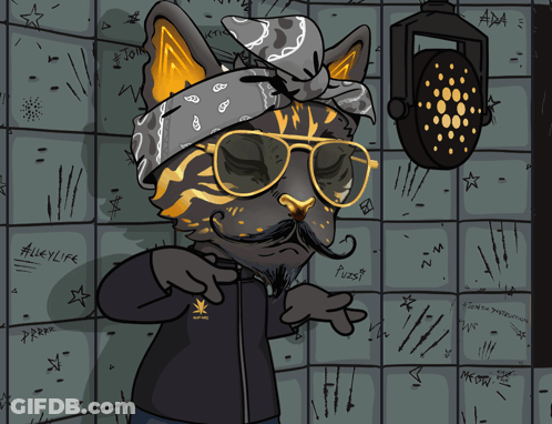 Cat Wearing Sunglasses And Bandana Says AlleyLife GIF