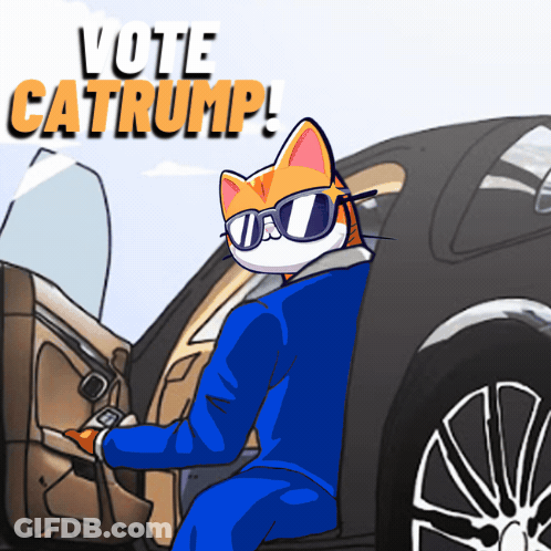 Cat Wearing Sunglasses Getting Out Of Car GIF