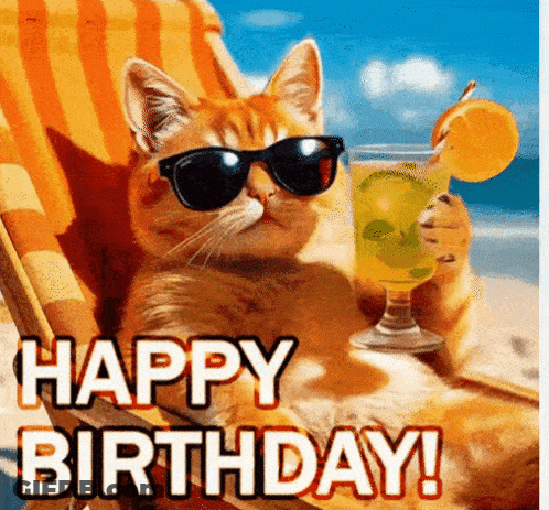 Cat Wearing Sunglasses Holding Drink On Beach GIF