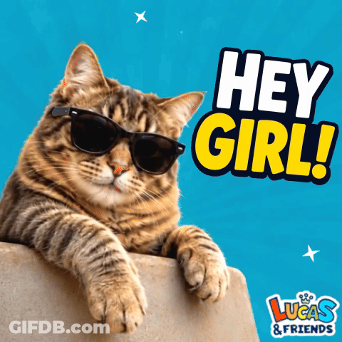 Cat Wearing Sunglasses Laying On Blue Background Saying Hey Girl GIF