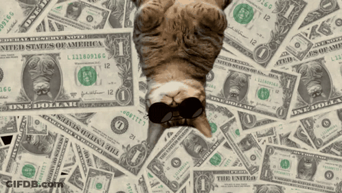Cat Wearing Sunglasses Laying On Pile Of Dollar Bills GIF