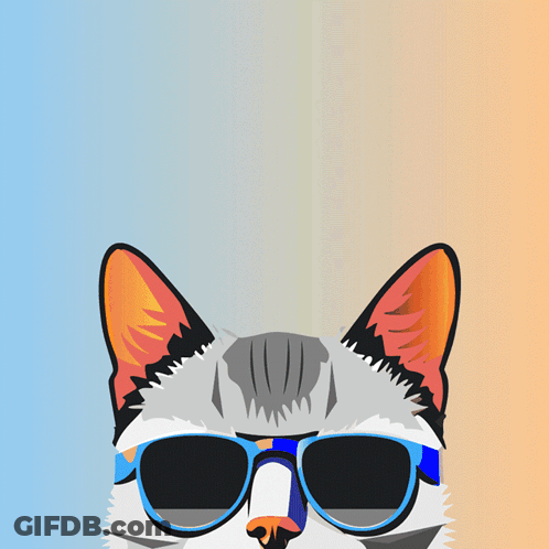Cat Wearing Sunglasses Saying Nappy GIF