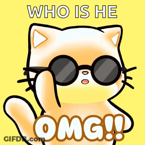 Cat Wearing Sunglasses Who Is He GIF