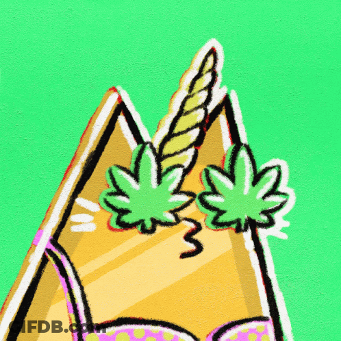 Cat Wearing Sunglasses With Rocket Background GIF