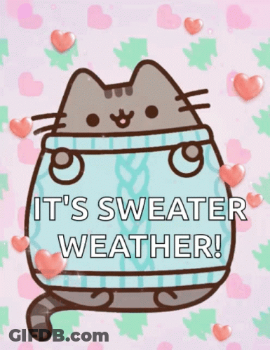 Cat Wearing Sweater Saying Sweater Weather GIF