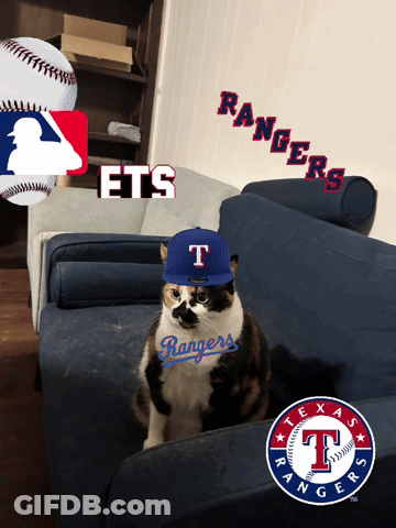 Cat Wearing Texas Rangers Hat Sitting GIF