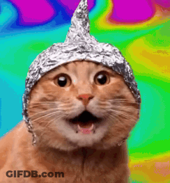 Cat Wearing Tin Foil Hat On Colorful Background GIF