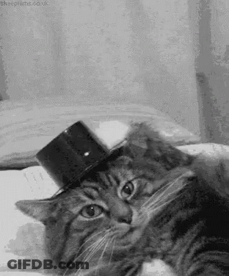 Cat Wearing Top Hat Lying On Bed GIF