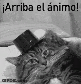 Cat Wearing Top Hat With Arriba El Animo GIF