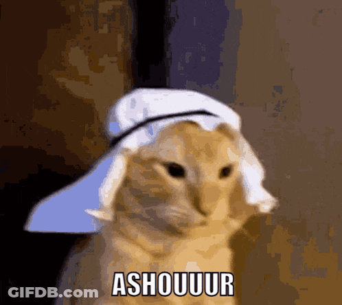 Cat Wearing Towel Saying Ashouuur GIF