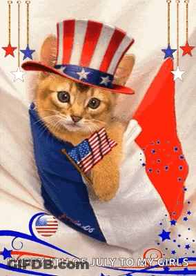 Cat Wearing Uncle Sam Hat Holding American Flag GIF