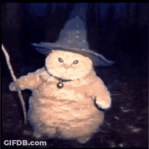 Cat Wearing Witch Hat Holding Cane GIF