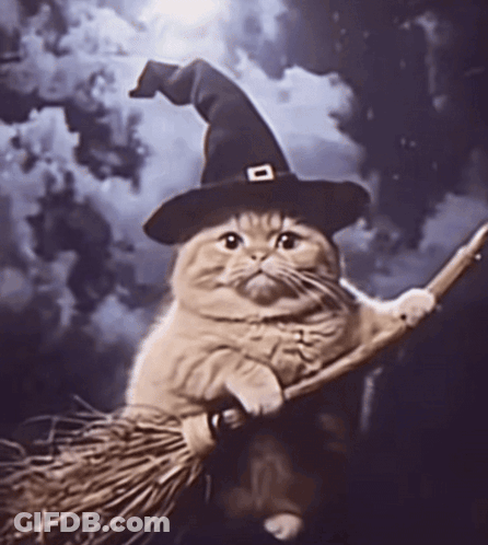 Cat Wearing Witch Hat Riding Broom GIF
