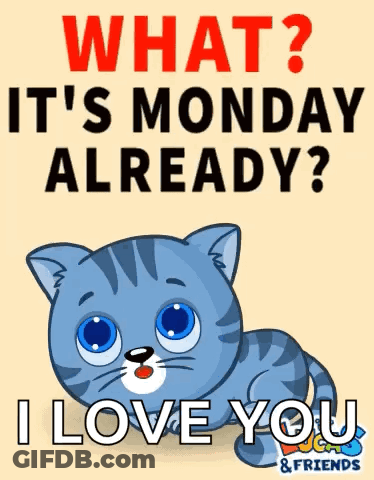 Cat What It's Monday Already I Love You GIF