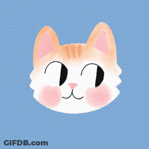 Cat Wink Meow GIF