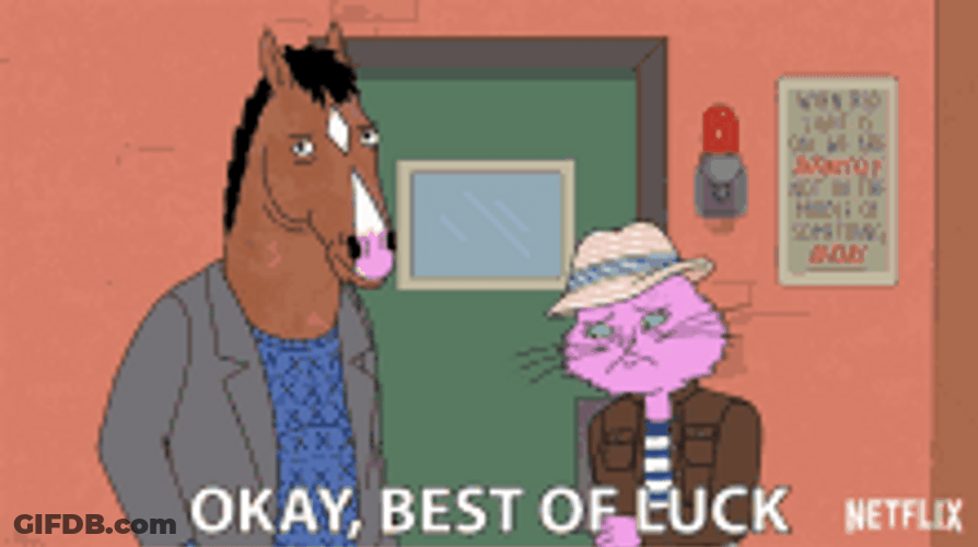 Cat Wishing Best Of Luck To Horse GIF
