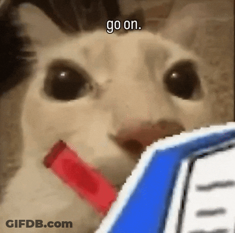 Cat With Afaka Mahazo Seza Ve Za GIF