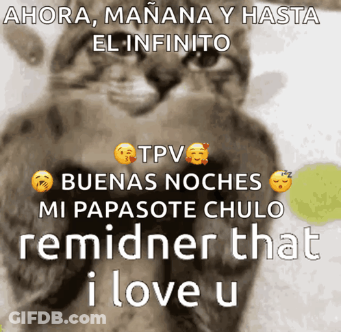 Cat With Ahora Manana Hasta El Infinito Message GIF