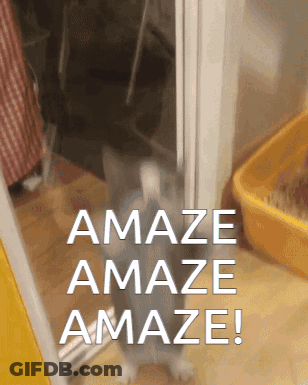 Cat With Amaze Amaze Amaze Sign GIF