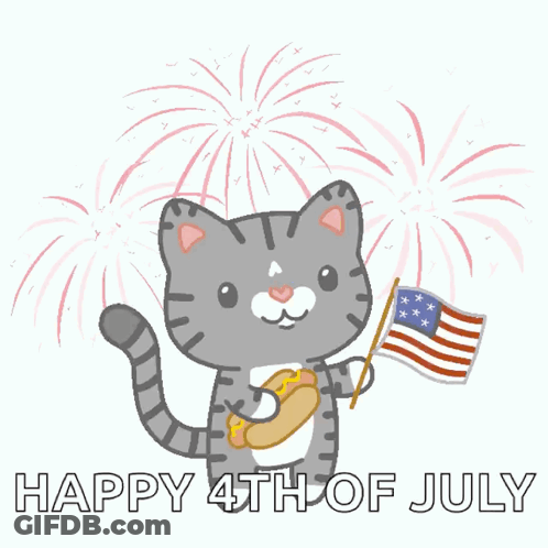 Cat With American Flag, Hot Dog, Fireworks, Happy 4Th Of July GIF