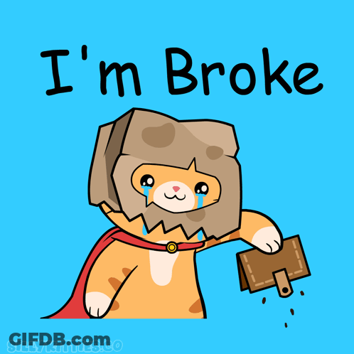 Cat With Bag On Head Saying I'm Broke GIF