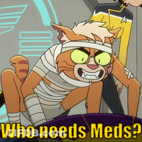 Cat With Bandages Saying Who Needs Meds GIF