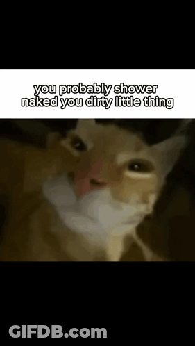 Cat With Beard Says You Probably Shower Naked You Dirty Little Thing GIF