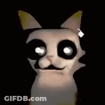 Cat With Big Eyes And Mustache In Dark GIF