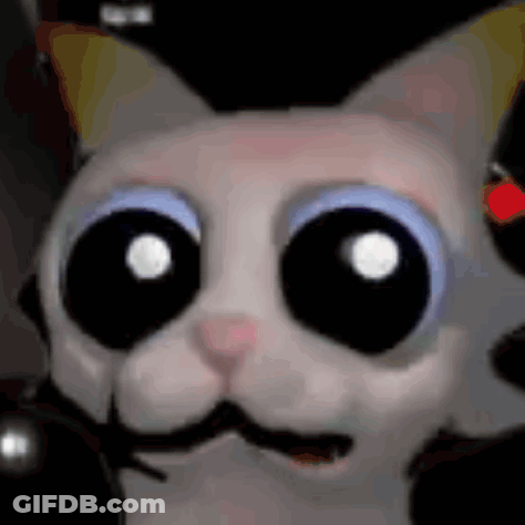 Cat With Big Eyes And Mustache In Hat GIF