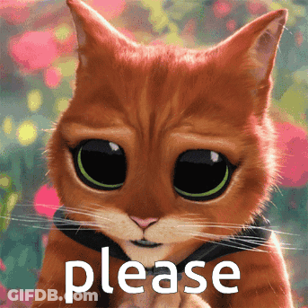 Cat With Big Eyes Asking Please GIF
