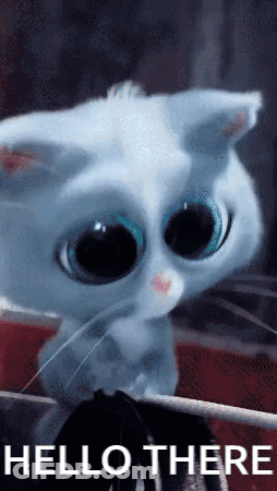 Cat With Big Eyes Saying Hello There GIF