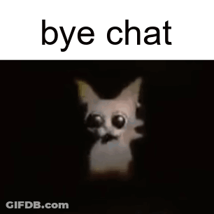 Cat With Big Eyes Standing In Dark With Words Bye Chat GIF