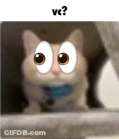 Cat With Big Googly Eyes Saying VC GIF
