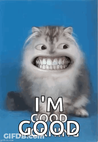Cat With Big Smile Saying I'm Good GIF